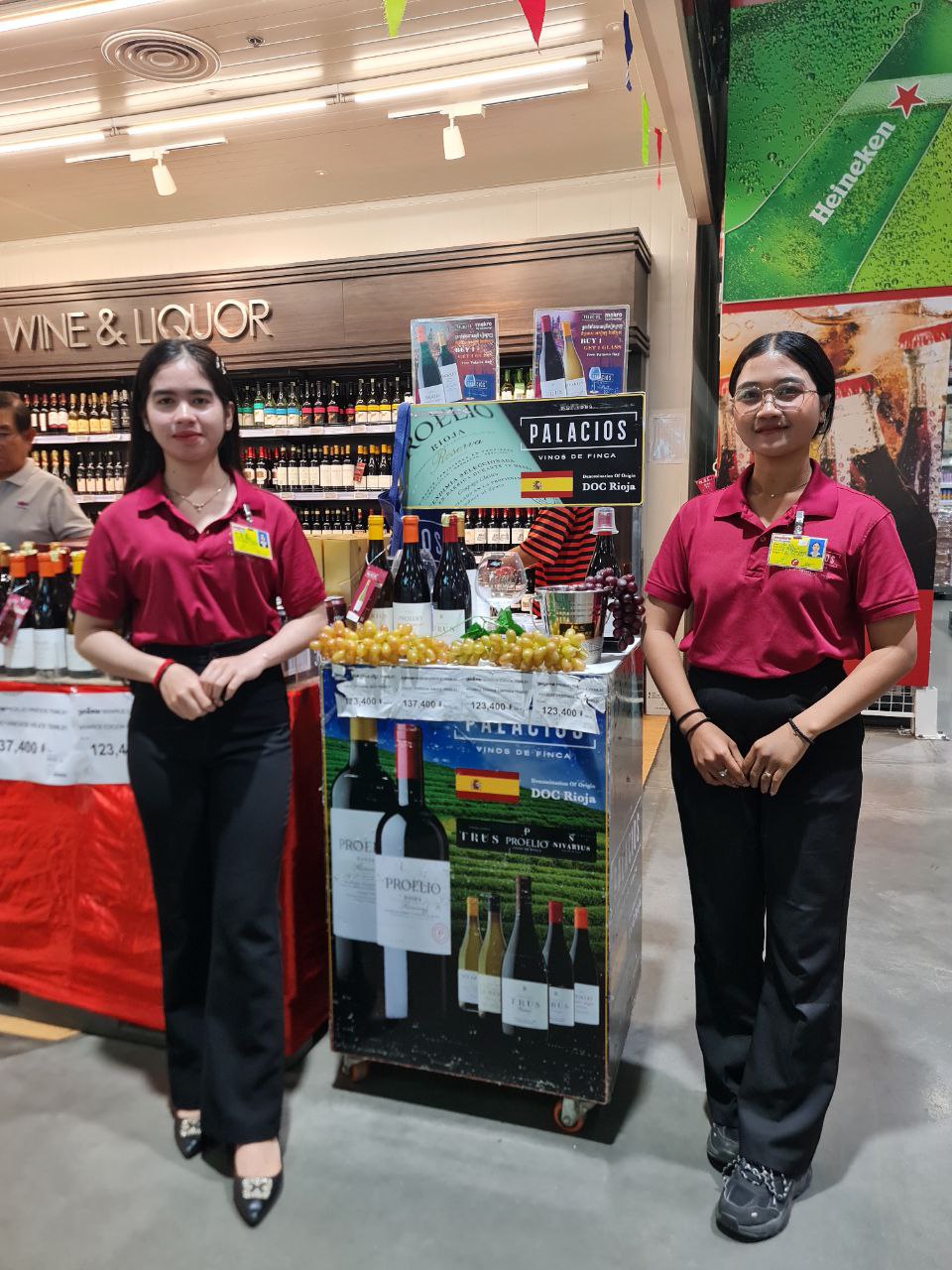 Premium wines for HoReCa sector